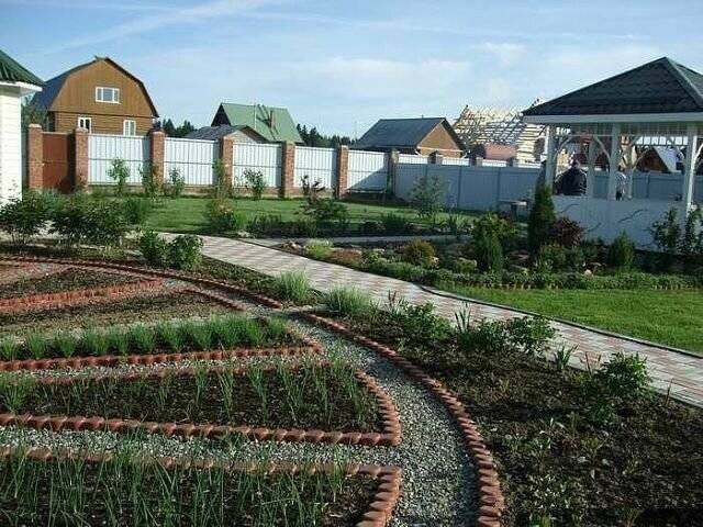 Что посадить на участке площадью 6 соток?