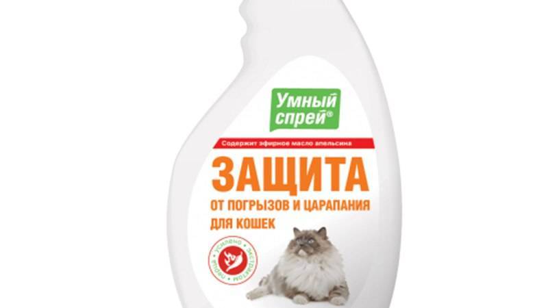 Как эффективно избавиться от блох на кошке и в доме