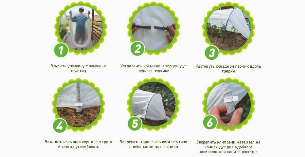 Парник подснежник: как сделать своими руками: видео + фото > отзывы о теплице