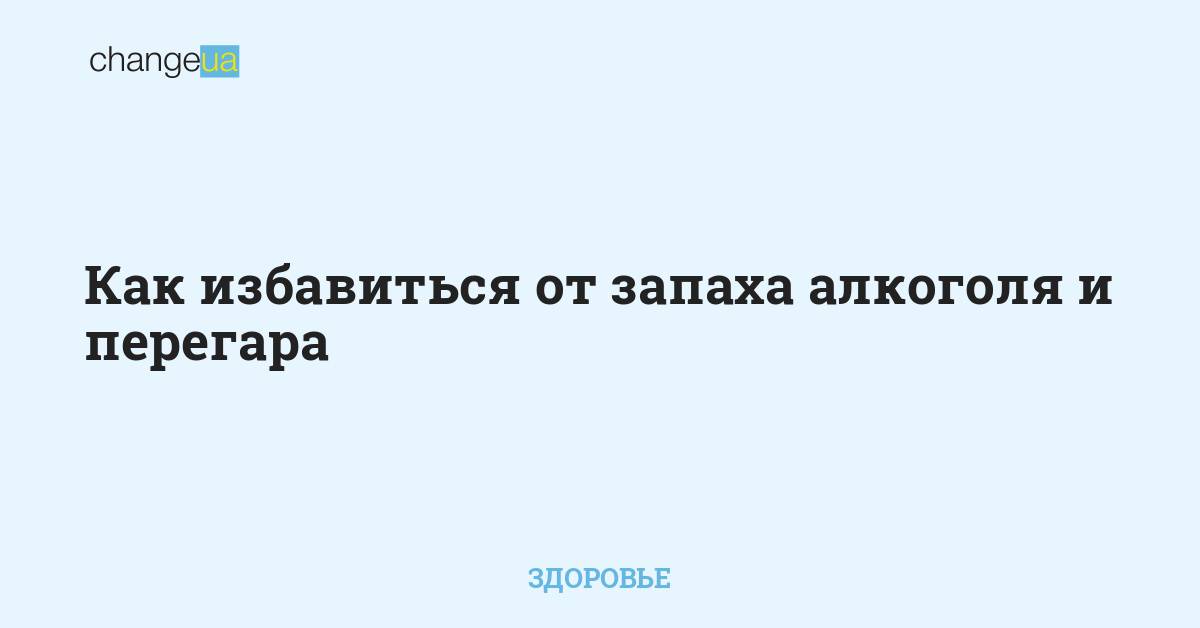 Эффективные методы, помогающие избавить пушистого питомца от блох