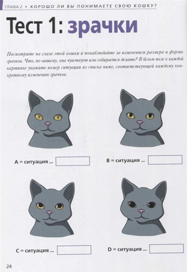 Как убрать шерсть кошки, кота, собаки и других животных с пледа, постельного белья, избавиться от кошачьей и собачьей в стиральной машинке, в квартире или доме?