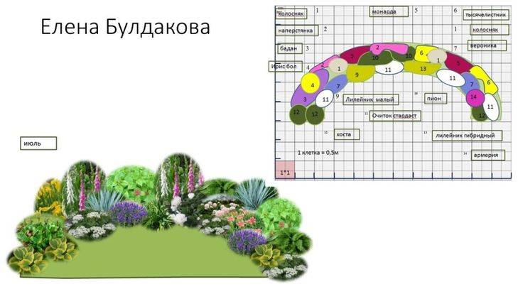 Многолетники для красивой клумбы - сочетания - сад и клумба
