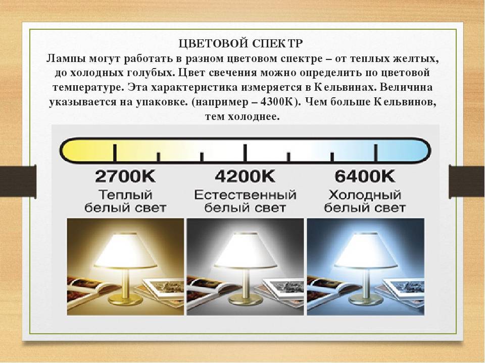 Что выбрать – теплый белый свет или холодный