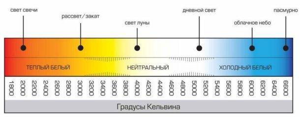 Какую цветовую температуру выбрать для освещения: теплую, холодную или дневную?