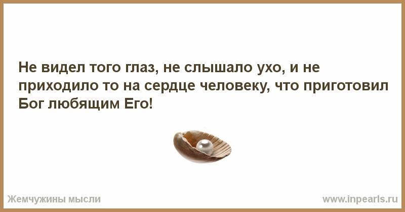 Как содержать квартиру в чистоте, если в ней живет собака